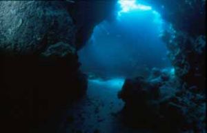 Cave Nikonos III &12mm Sea&Sea (south Red Sea) by Hossam M. Nasef 